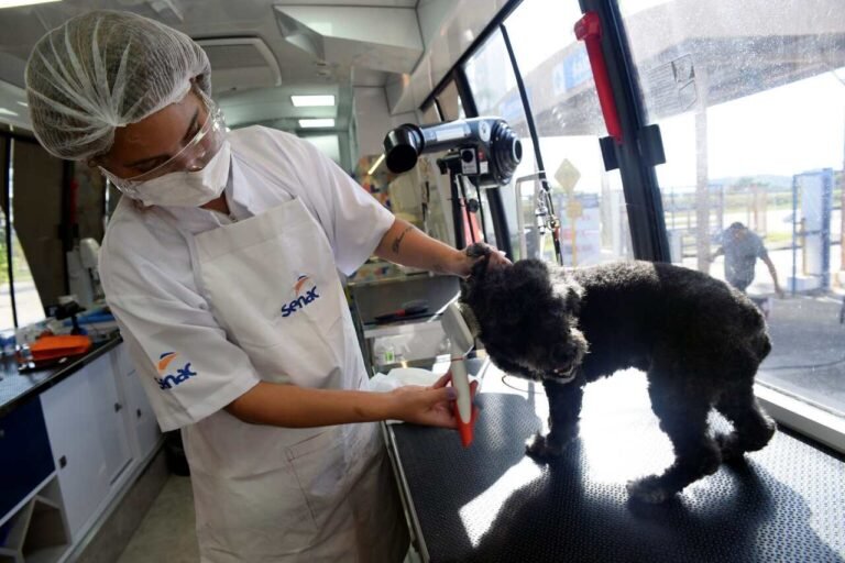 Escola Móvel Pet do Senac-RJ participa da Semana S com serviços gratuitos